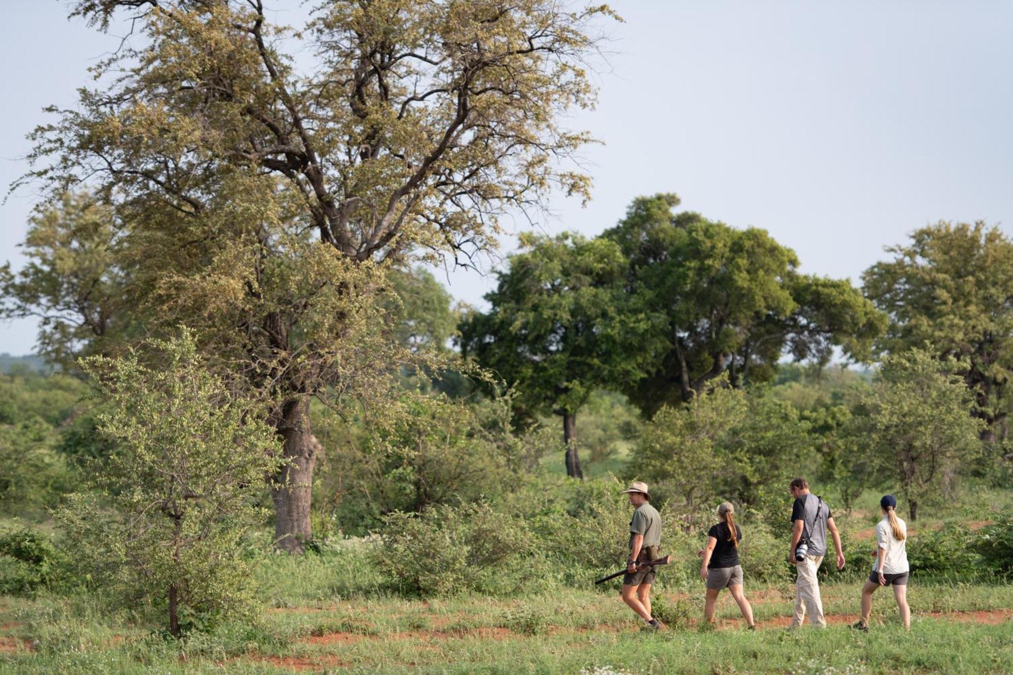 Senalala Safari Lodge Klaserie Private Nature Reserve Exterior photo